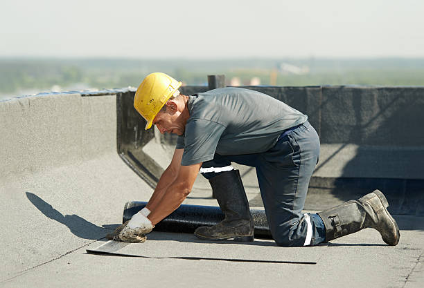 Best Blown-in Insulation  in Northbrook, OH